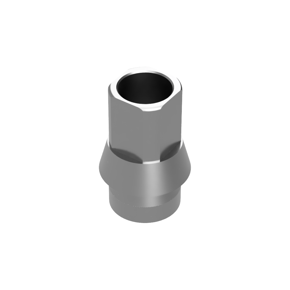 DS CAM Sub – Straumann BoneLevel NC hex kompatibel für Titan