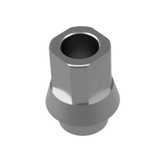 [600162] DS CAM Sub - Straumann BoneLevel RC kompatibel für Titan